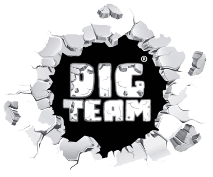 DIG TEAM logo